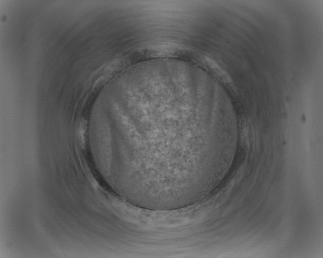 X0000065970026200603101408