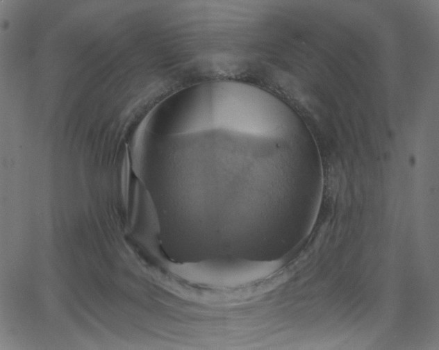 X0000065970027200603101408