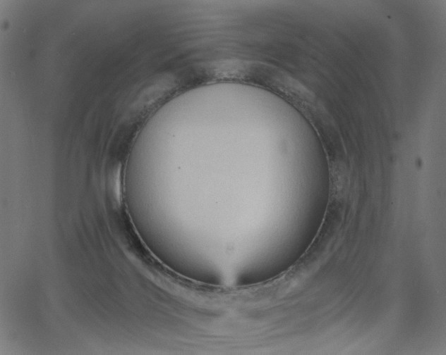 X0000065970028200603101408