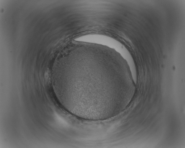 X0000065970029200603101408