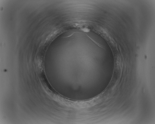 X0000065970031200603101408