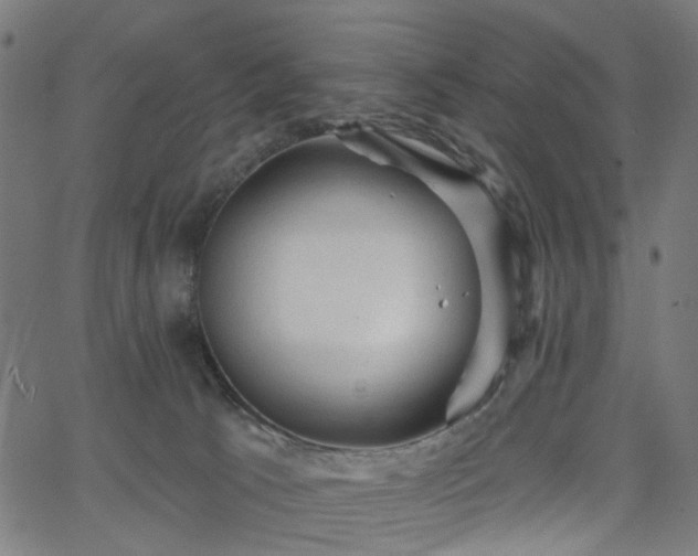 X0000065970033200603101408