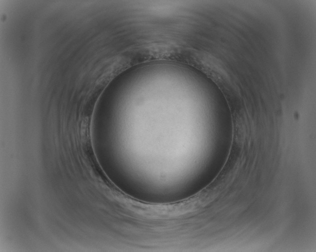 X0000065970034200603101408