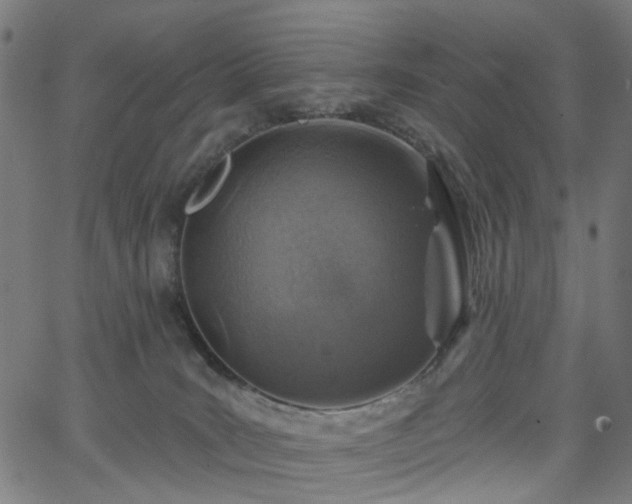 X0000065970035200603101408