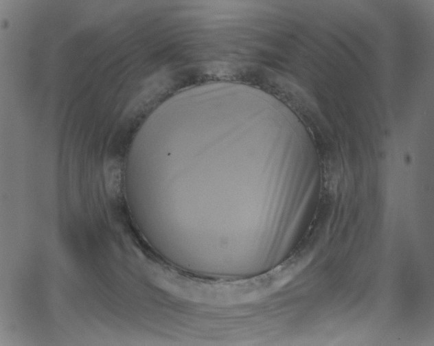 X0000065970036200603101408