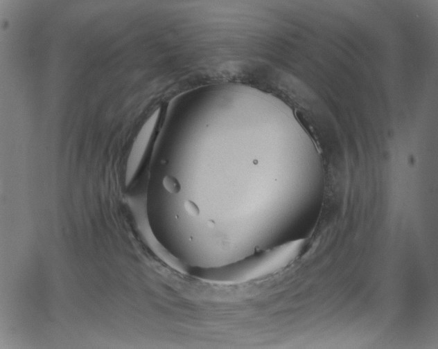 X0000065970037200603101408