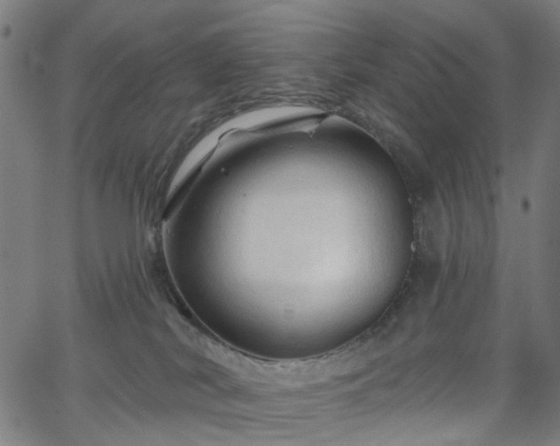 X0000065970038200603101408