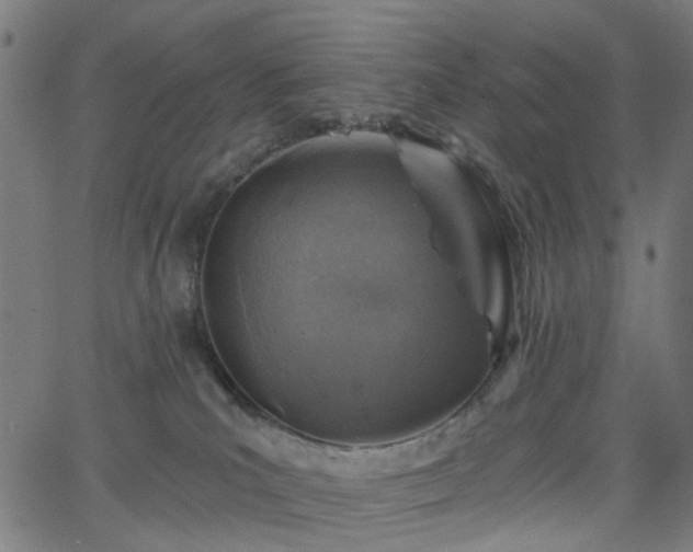 X0000065970039200603101408