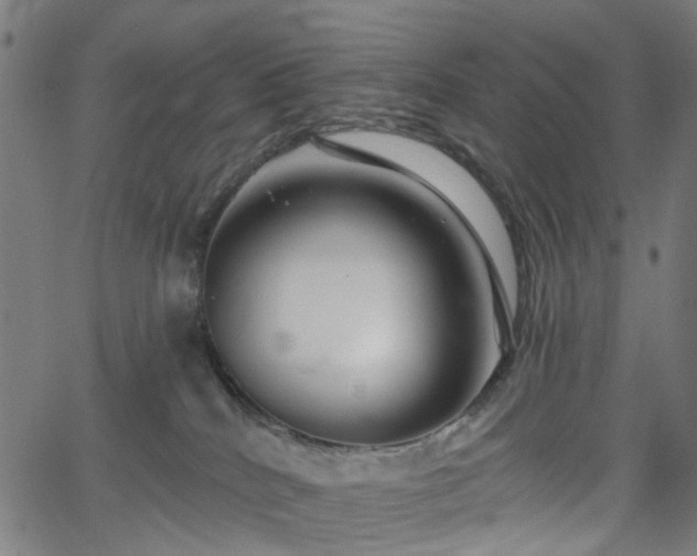 X0000065970040200603101408