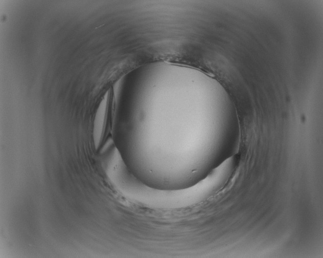 X0000065970041200603101408