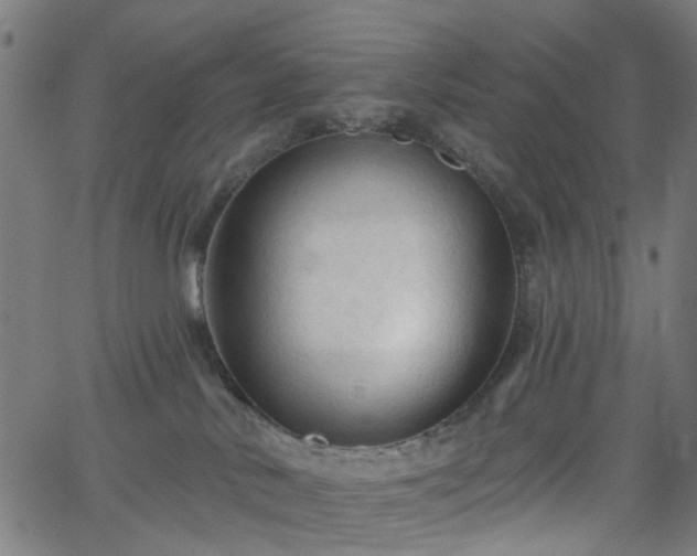 X0000065970042200603101408