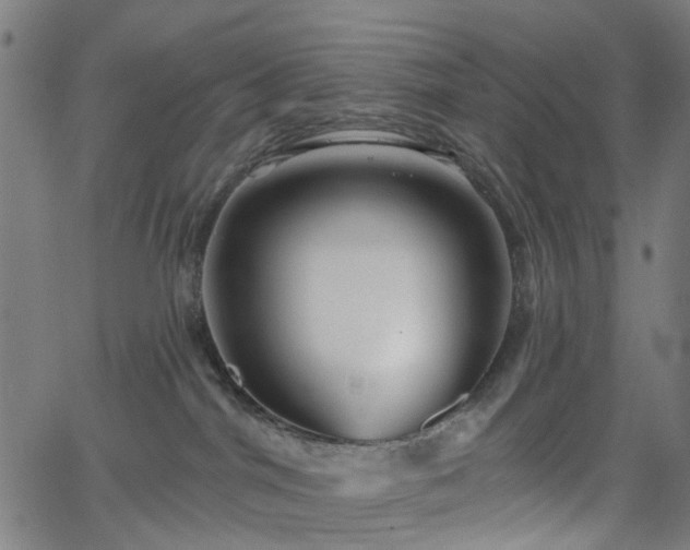 X0000065970044200603101408