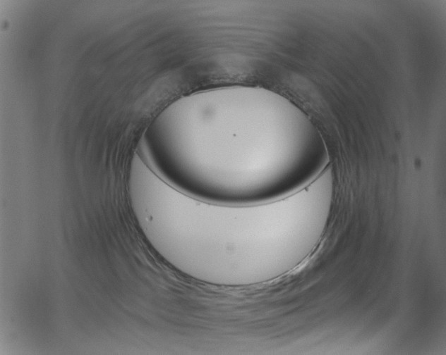 X0000065970045200603101408