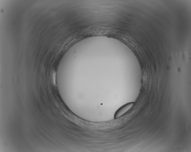 X0000065970046200603101408