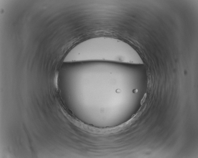 X0000065970047200603101408