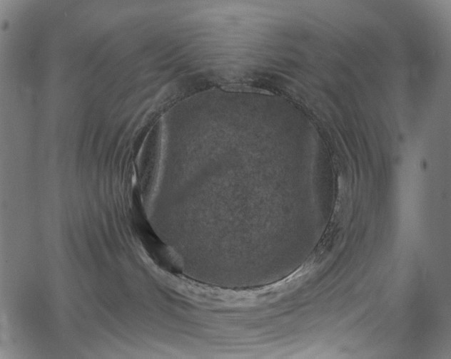 X0000065970048200603101408