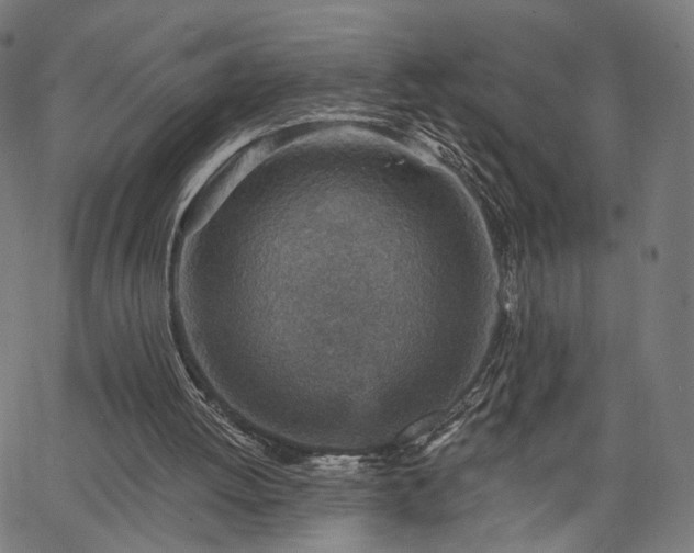 X0000065970052200603101407