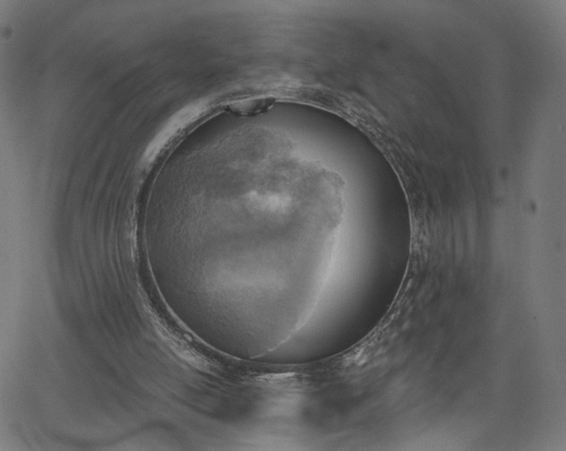 X0000065970054200603101407