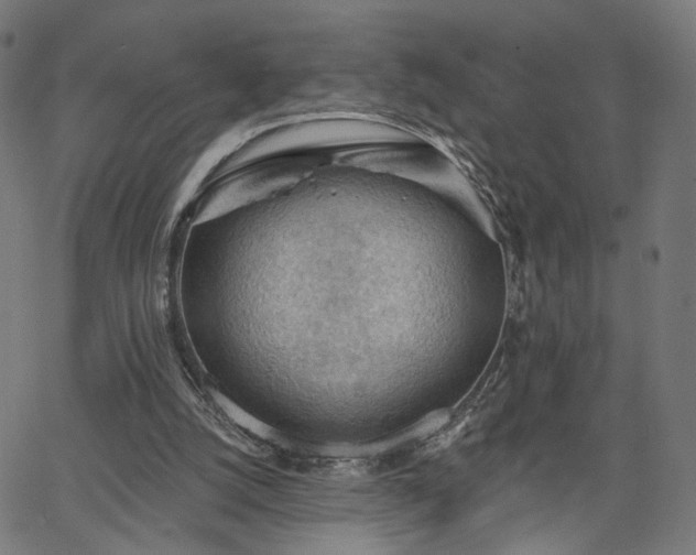 X0000065970056200603101407