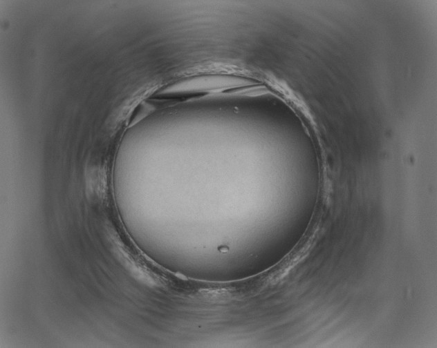 X0000065970057200603101407