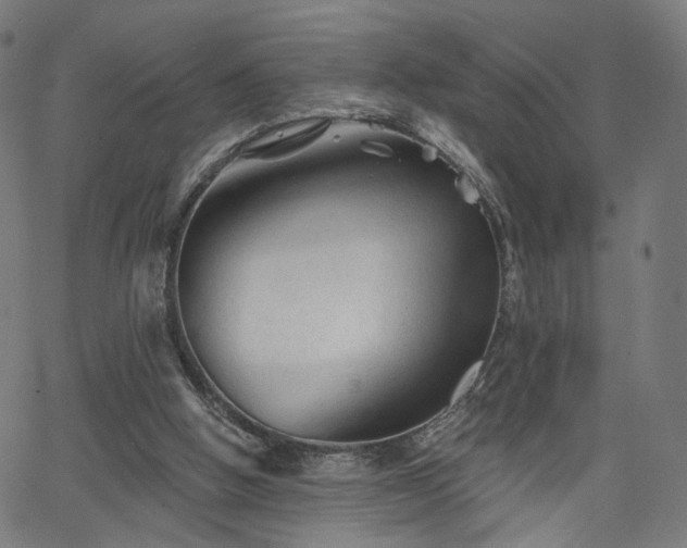 X0000065970058200603101407