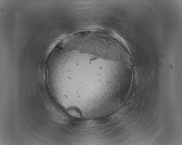 X0000065970059200603101407