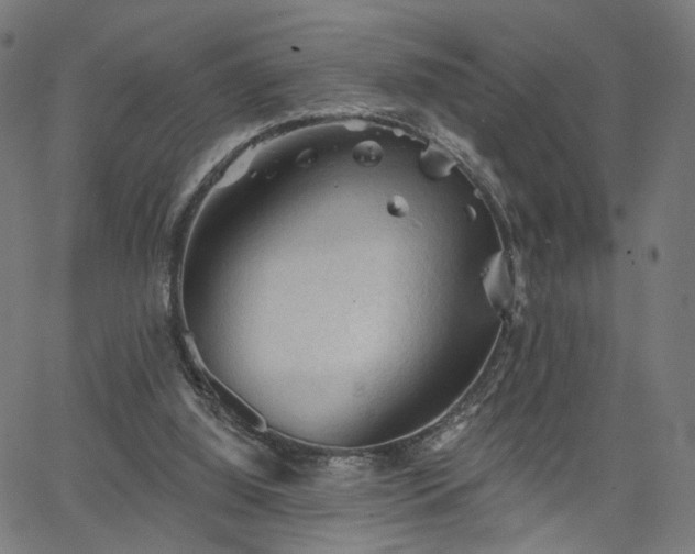 X0000065970060200603101407