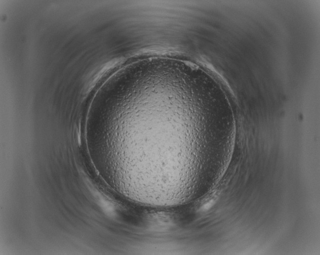 X0000065970062200603101407