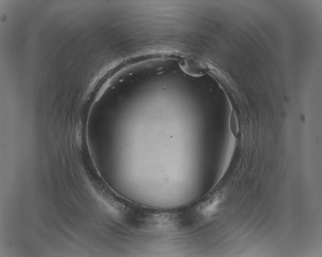 X0000065970064200603101407