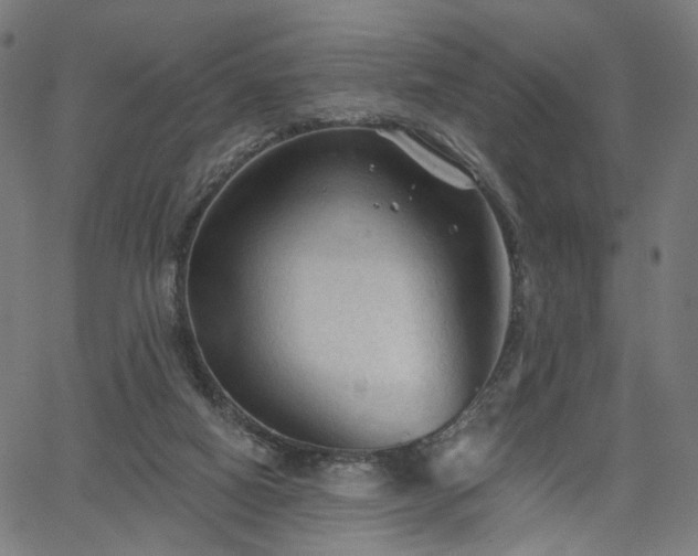 X0000065970066200603101407