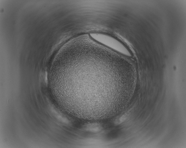 X0000065970067200603101407