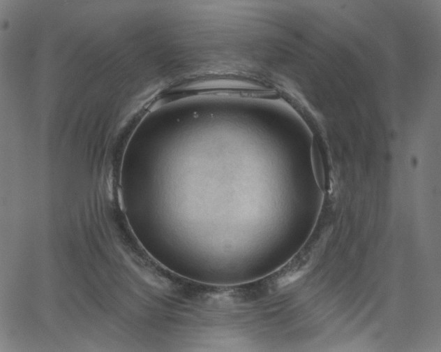 X0000065970068200603101407