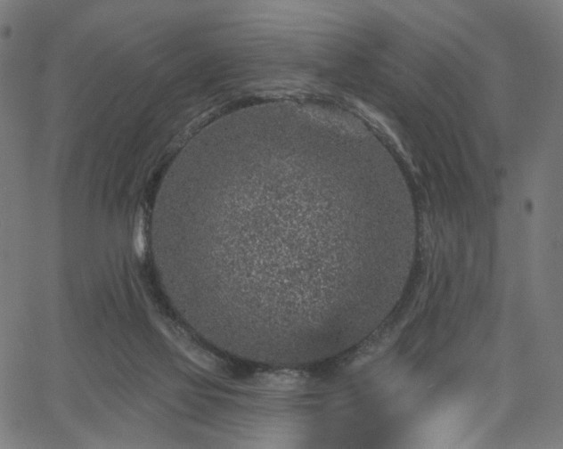 X0000065970069200603101408