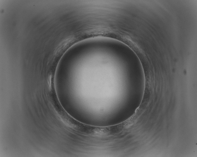 X0000065970070200603101408