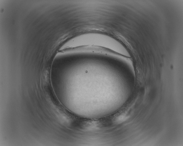 X0000065970071200603101408