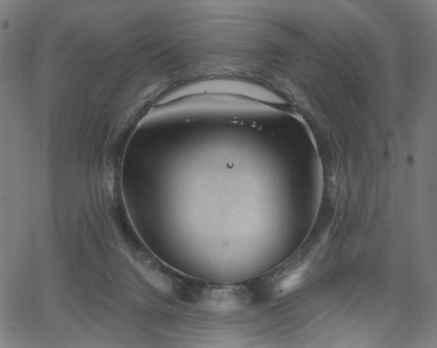 X0000065970072200603101408