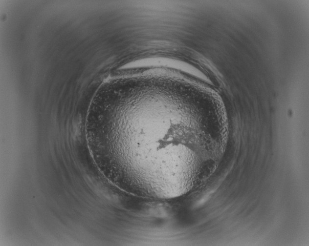 X0000065970073200603101408