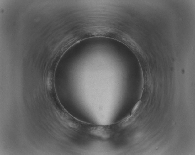 X0000065970074200603101408