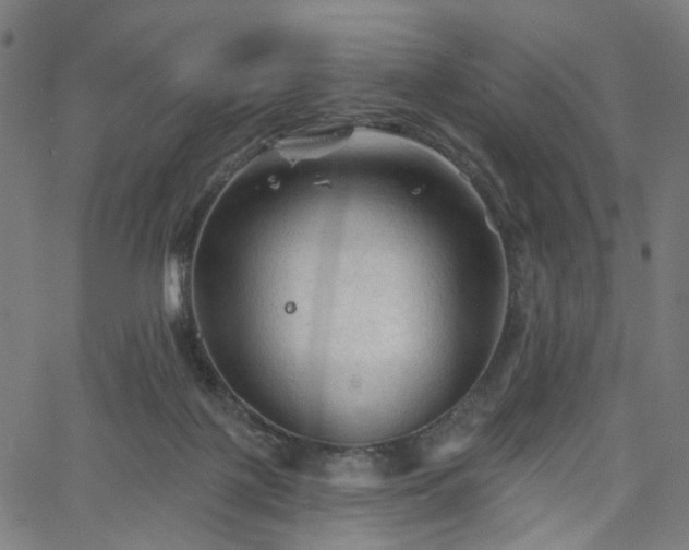 X0000065970075200603101408