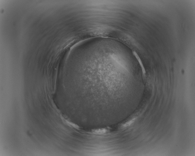 X0000065970076200603101408