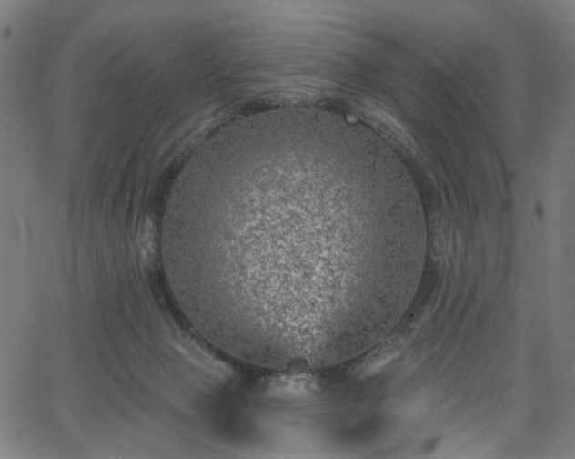 X0000065970077200603101408