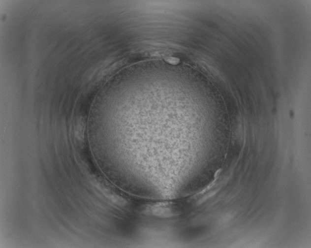 X0000065970078200603101408