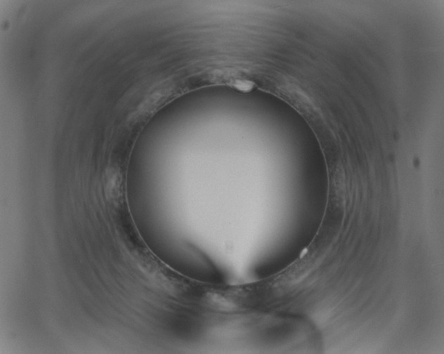 X0000065970079200603101408