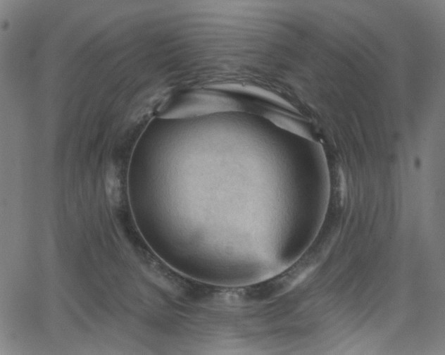 X0000065970080200603101408