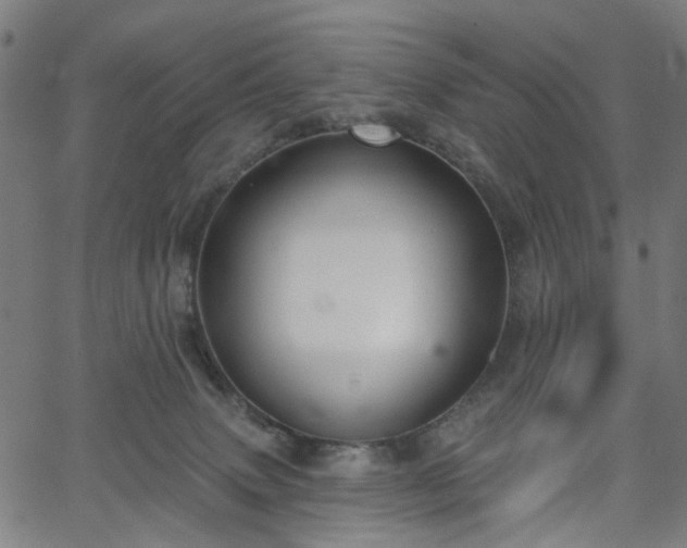 X0000065970083200603101408