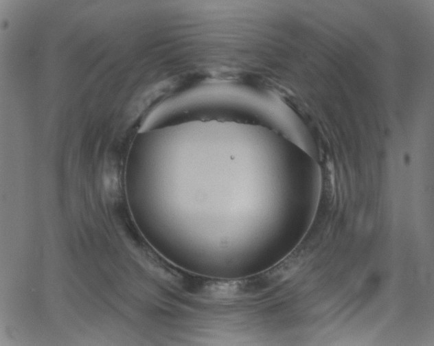 X0000065970084200603101408