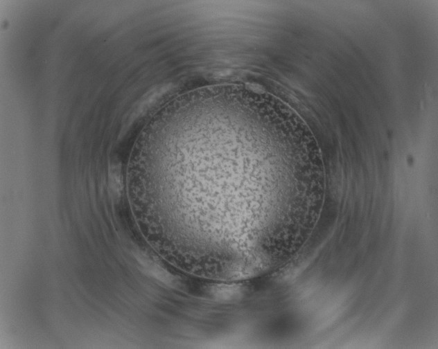 X0000065970085200603101408