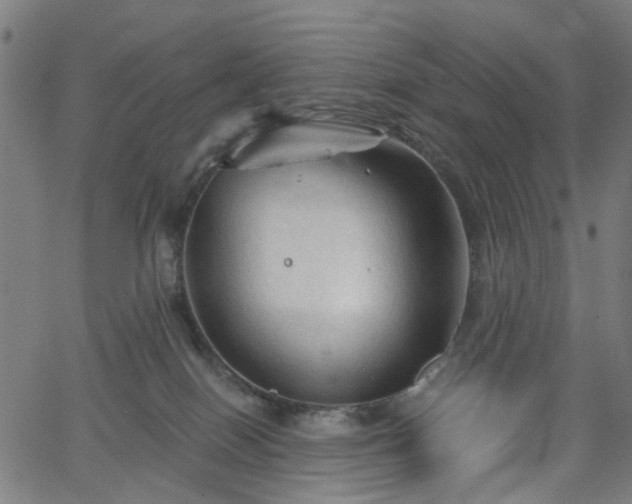 X0000065970086200603101408