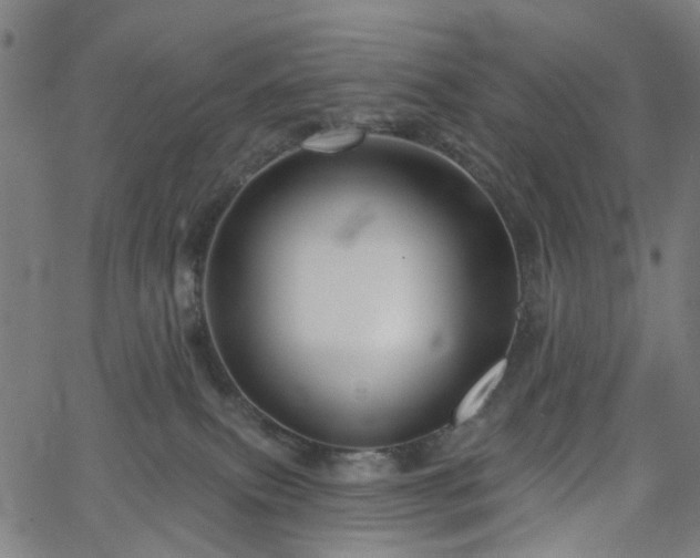 X0000065970087200603101408