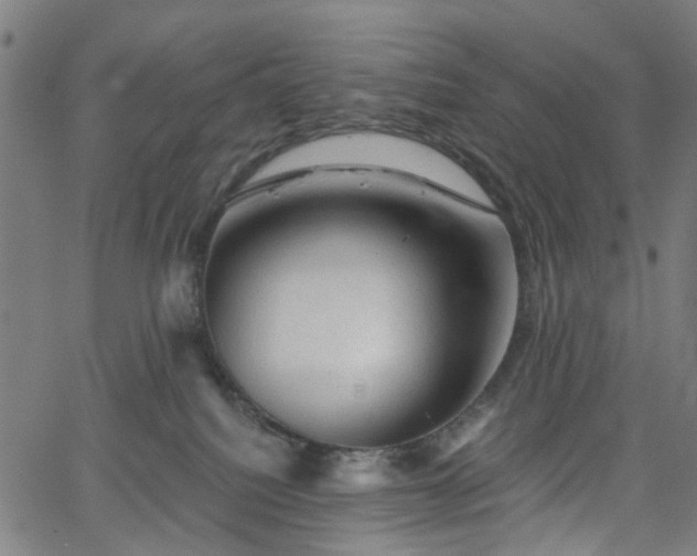 X0000065970088200603101408